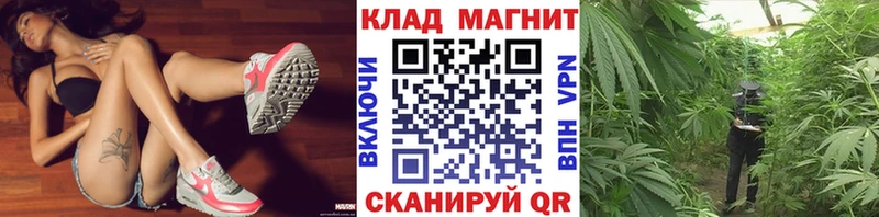 Все наркотики Жигулёвск СК  Амфетамин  Кокаин  ГАШ 