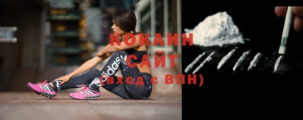 индика Бронницы