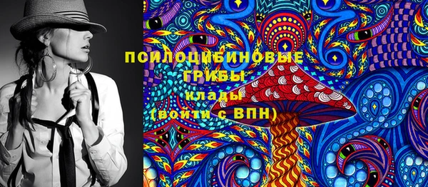 СК Вяземский