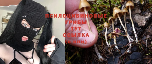 СК Вяземский